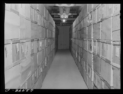 Eggs in storage at Fulton Market cold storage plant. Chicago, Illinois