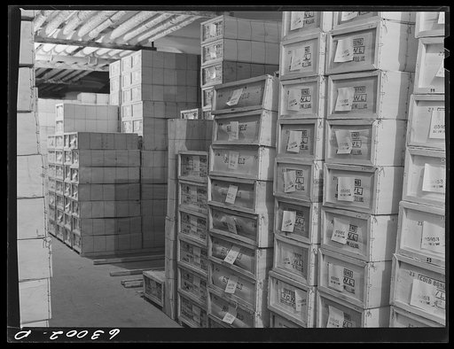 Boxed poultry in storage at twenty-four degrees below zero. Fulton Market cold storage plant, Chicago, Illinois