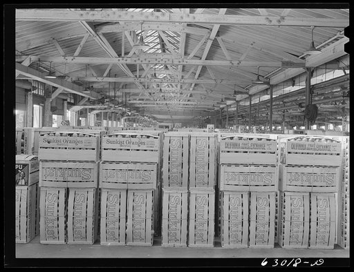 Warehouse at fruit terminal. Chicago, Illinois