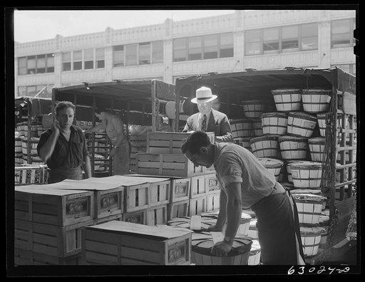 Commission merchant supervising unloading of truck at produce market. Chicago, Illinois