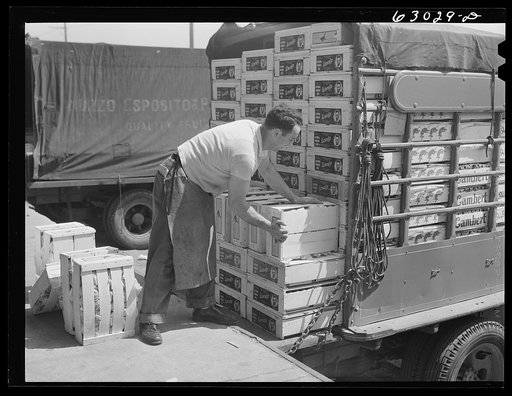 Untitled photo, possibly related to: Loading crates of fruit onto truck at fruit terminal. Chicago, Illinois