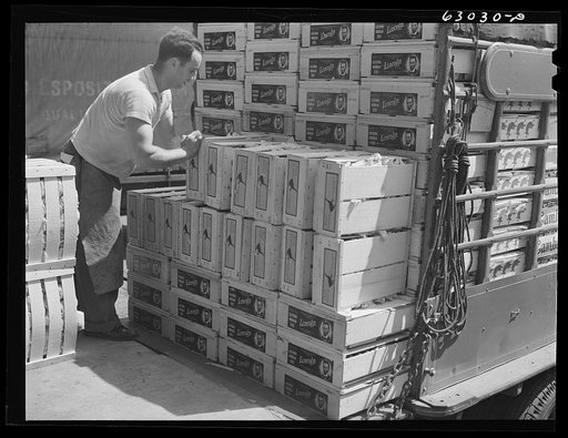 Loading crates of fruit onto truck at fruit terminal. Chicago, Illinois