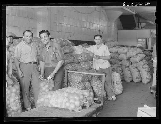 Onions and potatoes at produce market, where commission merchants sell to retailers. Chicago, Illinois