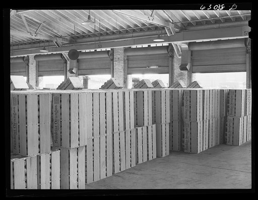 Crates of oranges on display at fruit terminal. Chicago, Illinois