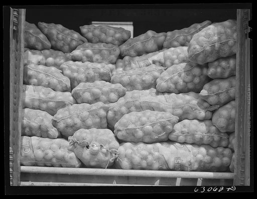 Carload of onions at railroad terminal. Chicago, Illinois