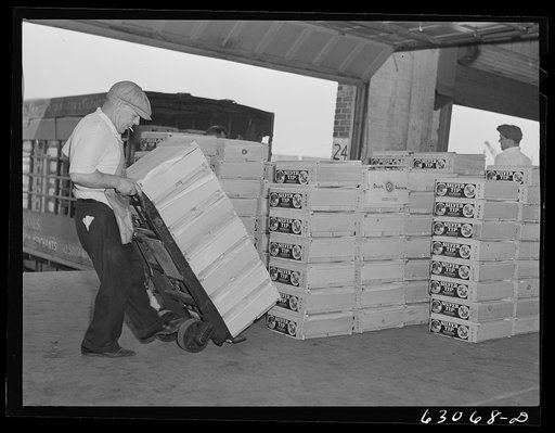 Loading crates of fruit onto commission merchants' trucks. Fruit terminal, Chicago, Illinois