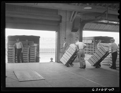 Loading crates of fruit onto commission merchants' trucks. Fruit terminal, Chicago, Illinois