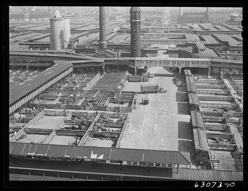 Union Stockyards. Chicago, Illinois