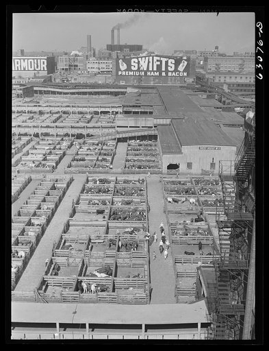 Untitled photo, possibly related to: Union Stockyards. Chicago, Illinois