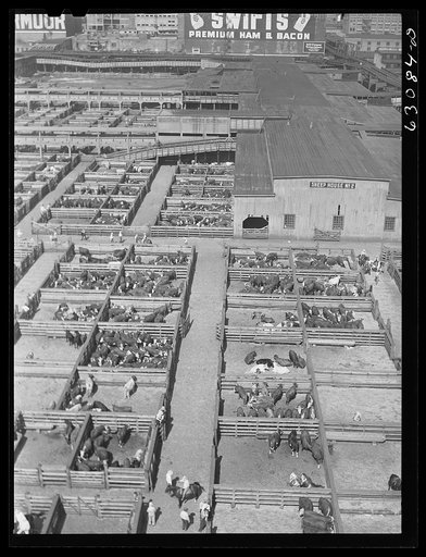 Untitled photo, possibly related to: Union Stockyards. Chicago, Illinois