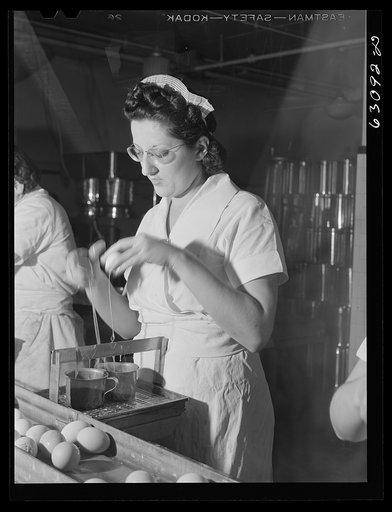 Breaking eggs in egg breaking plant. Chicago, Illinois