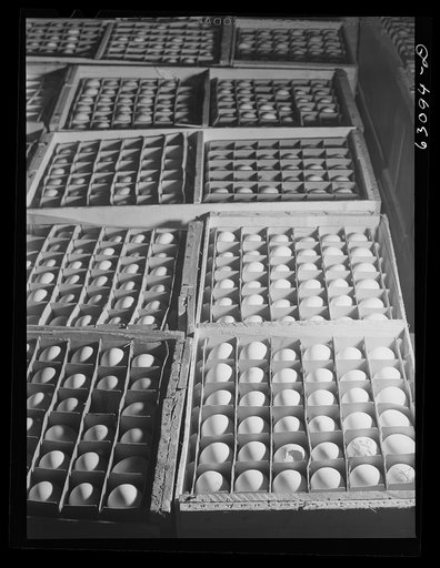 Crates of eggs at egg breaking plant. Chicago, Illinois