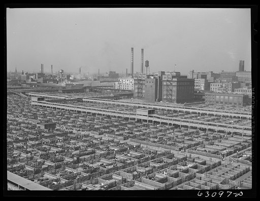 Untitled photo, possibly related to: Union Stockyards. Chicago, Illinois