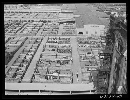 Untitled photo, possibly related to: Union Stockyards. Chicago, Illinois