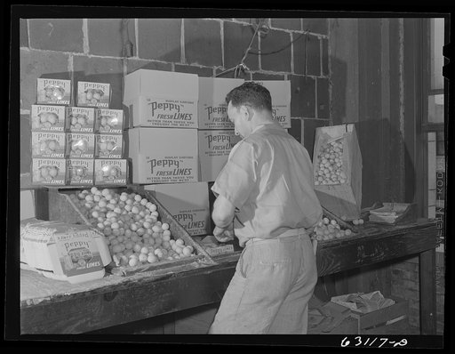 Packing limes at produce market. Chicago, Illinois