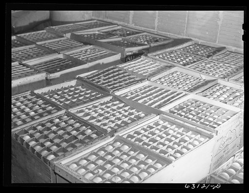 Eggs at egg breaking plant. Chicago, Illinois