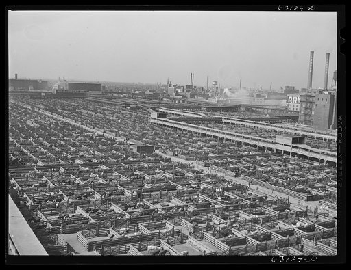 Union Stockyards. Chicago, Illinois