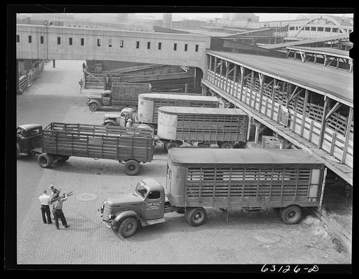 Untitled photo, possibly related to: Trucks at Union Stockyards. Chicago, Illinois