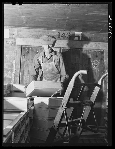 Unloading fruit from freight car. Produce terminal, Chicago, Illinois