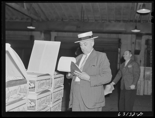 Commission merchant examining produce at fruit warehouse. Chicago, Illinois