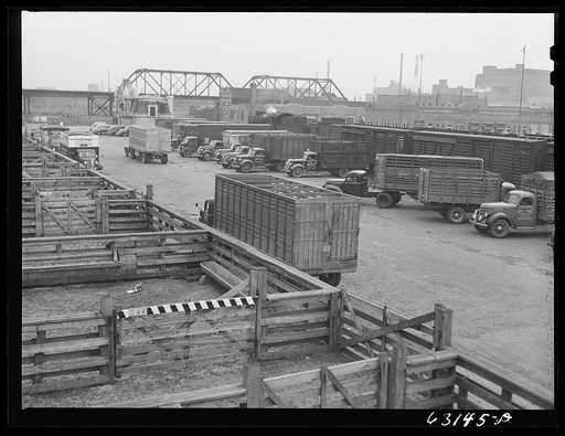 Untitled photo, possibly related to: Trucks at Union Stockyards. Chicago, Illinois