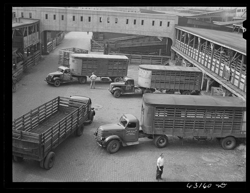 Trucks at Union Stockyards. Chicago, Illinois