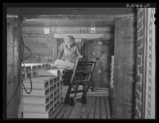 Unloading car of fruit at terminal warehouse. Chicago, Illinois