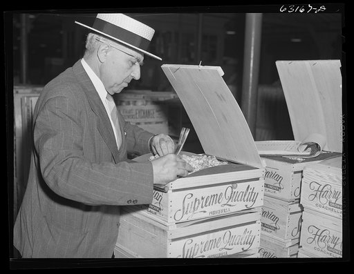 Commission merchant examining produce at terminal warehouse before auction begins. Chicago, Illinois