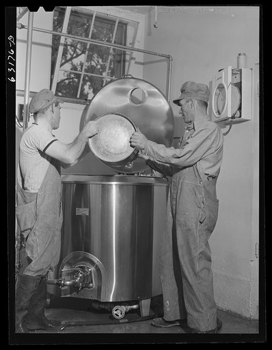 Pouring milk into vat for pasteurizing. Greendale, Wisconsin