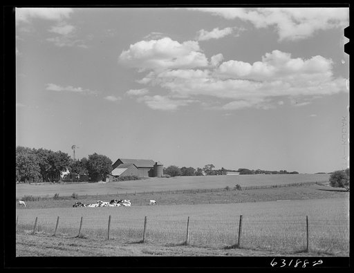 Dairy farm. Dodge County, Wisconsin