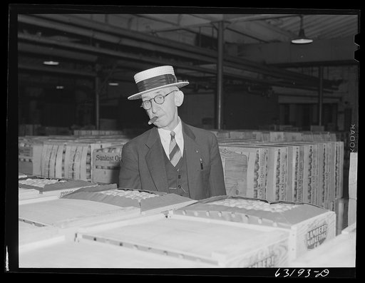 Commission merchant examining fruit at terminal warehouse. Chicago, Illinois