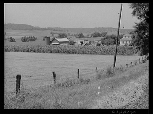 Dairy farm. Richland County, Wisconsin