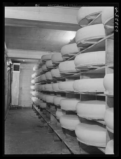 Untitled photo, possibly related to: Swiss cheese in storage. Madison, Wisconsin