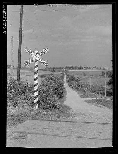 Rural road. Vernon County, Wisconsin