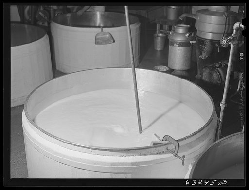 Swiss cheese cooking. Swiss cheese factory. Madison, Wisconsin