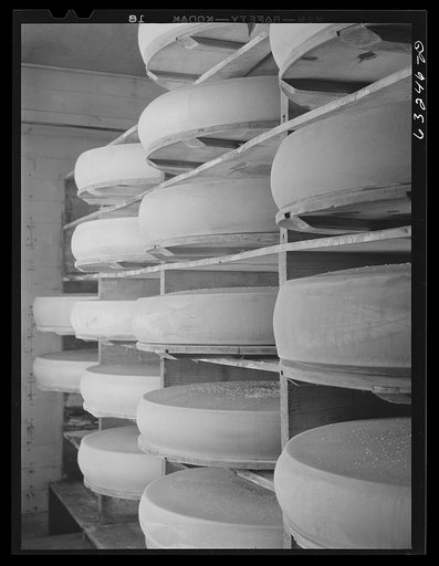 Cheese in storage. Swiss cheese factory. Madison, Wisconsin