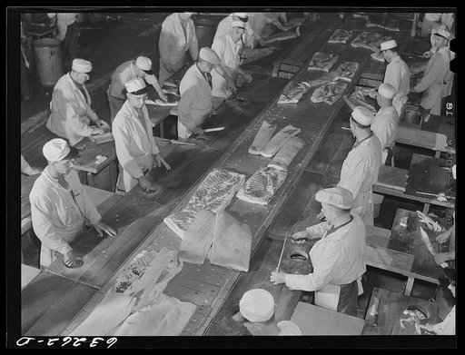The hog cut: hogs come chilled and split, and go through the crew of butchers on a moving belt. Packing plant. Austin, Minnesota