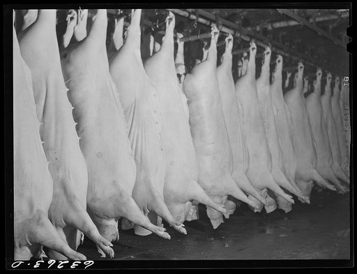 Untitled photo, possibly related to: Inspections on innards in the pork department. Packing plant, Austin, Minnesota