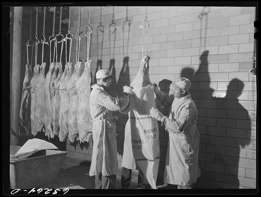 Putting young veal in sack. Packing plant. Austin, Minnesota