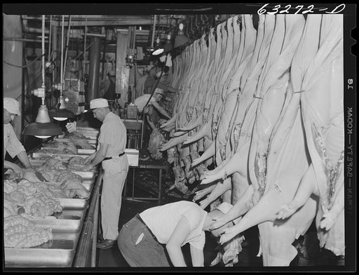 Inspections on innards in the pork department. Packing plant, Austin, Minnesota
