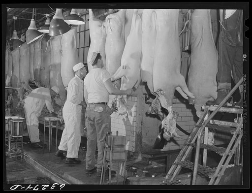 Government inspection of hog carcasses. Packing plant, Austin, Minnesota