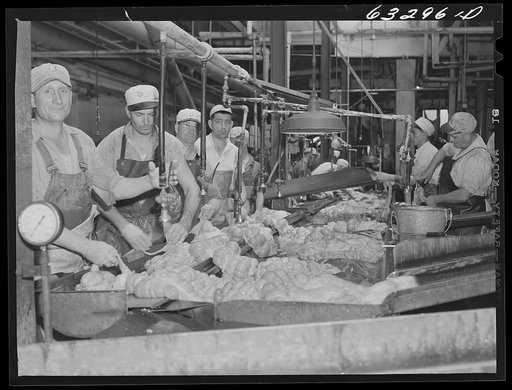 Processing of hog innards. Packing plant, Austin, Minnesota