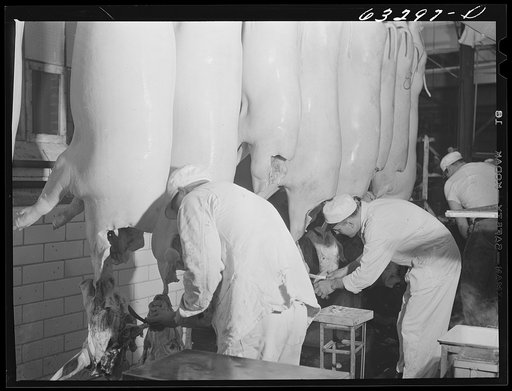 Government inspection of hog carcasses. Packing plant, Austin, Minnesota