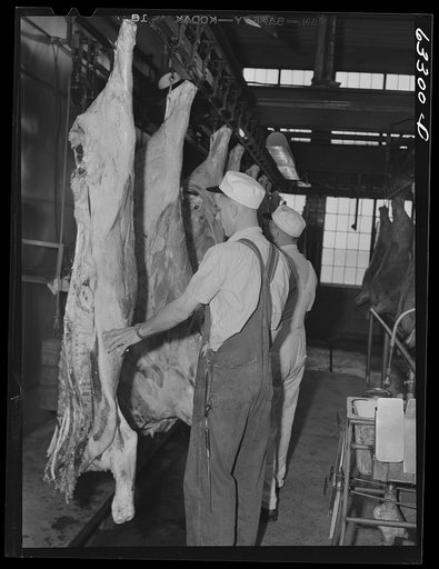 Beef carcasses on the production line. Packing plant, Austin, Minnesota