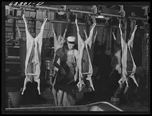 Beef carcasses on the production line. Packing plant, Austin, Minnesota