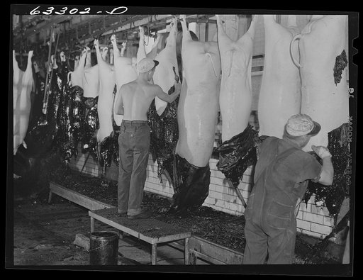 Removing rosin dip from hog carcasses. This removes all the hair. Packing plant. Austin, Minnesota