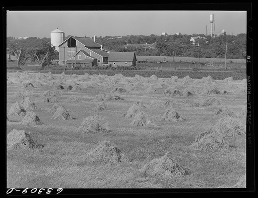 Farm outside of Faribault, Minnesota