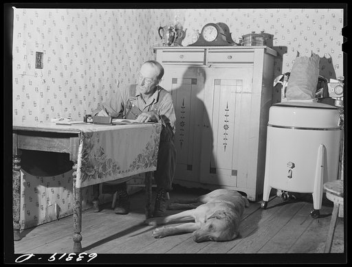 FSA (Farm Security Administration) borrower working on accounts. Itasca County, Minnesota