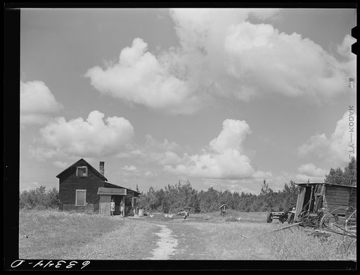 Farm of FSA (Farm Security Administration) rehabilitation borrower on cut-over land. Itasca County, Minnesota