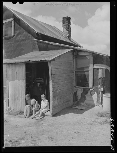 Children of FSA (Farm Security Administration) borrower on cut-over land. Itasca County, Minnesota